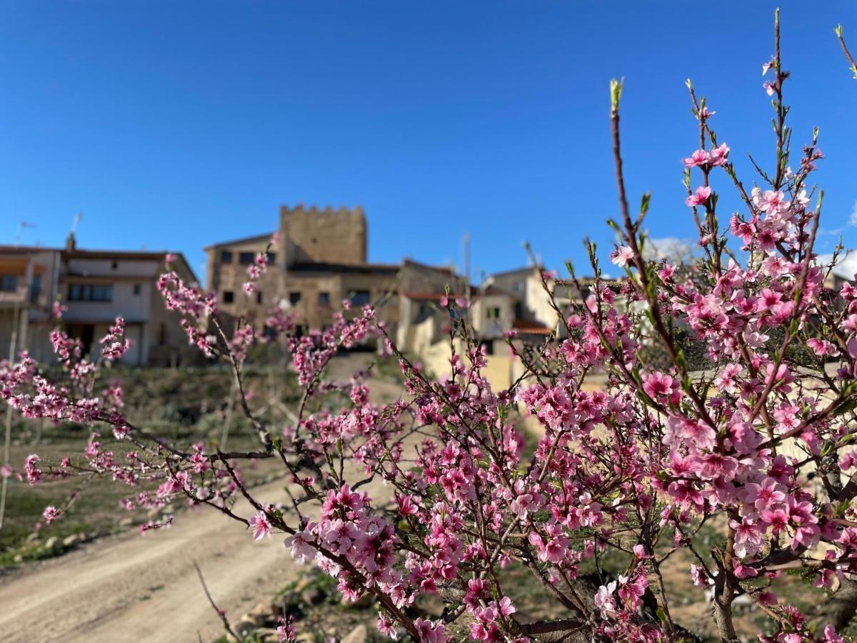 Castillo De Bulbuente De Luis Zueco エクステリア 写真